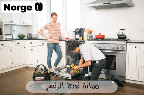 صيانة نورج الرئيسي