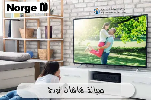 صيانة شاشات نورج