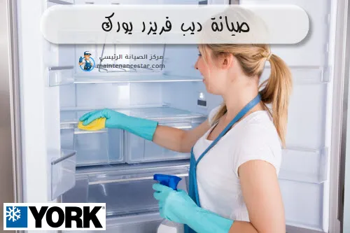صيانة ديب فريزر يورك